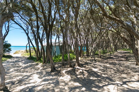 Perfect Blairgowrie Beach House - Tourism Noosa 17