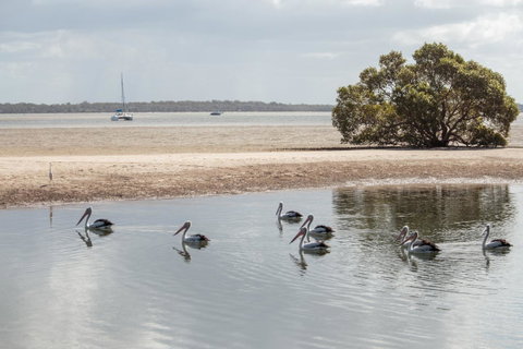 BIG4 Breeze Holiday Parks - Rainbow Beach - Tourism Noosa 32