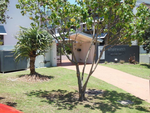 Whale Watch Ocean Beach Resort - Tourism Noosa 14