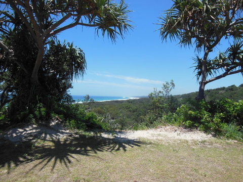 Whale Watch Ocean Beach Resort - Tourism Noosa 3