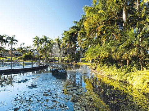 Oaks Sunshine Coast Oasis Resort - Tourism Noosa 13