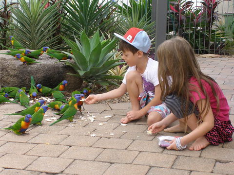 Island Leisure Resort - Tourism Noosa 25