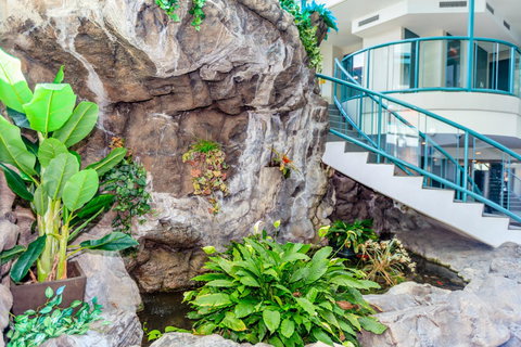 Grand Palais Boolarong Beachside Apartments - Tourism Noosa 42