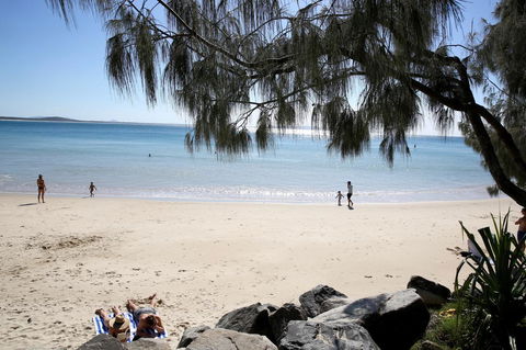 The Cove Noosa - Tourism Noosa 26