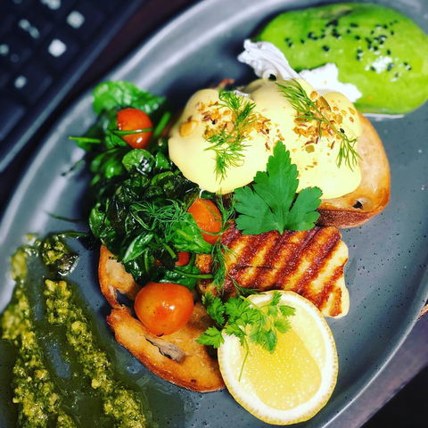 The Bearded Dragon Boutique Hotel - Tourism Noosa 15