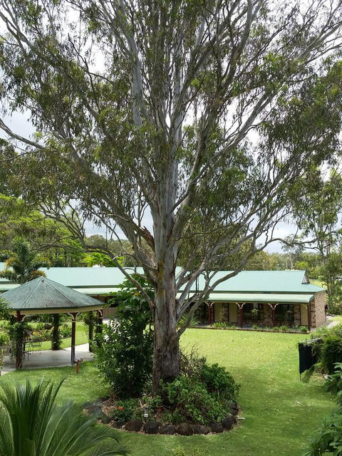 The Bearded Dragon Boutique Hotel - Tourism Noosa 32