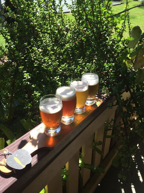 The Bearded Dragon Boutique Hotel - Tourism Noosa 31