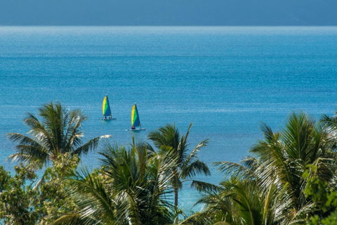 Beach Lodges - Tourism Noosa 34