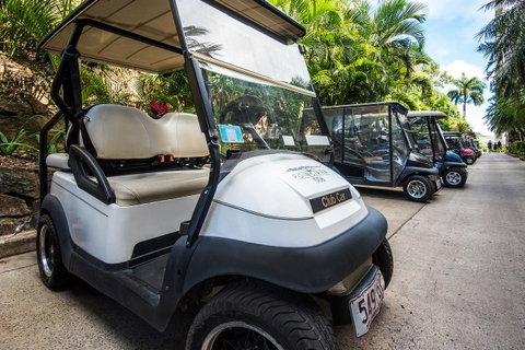 Beach Lodges - Tourism Noosa 40