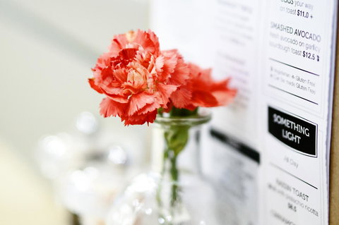 Madison Plaza Townsville - Tourism Noosa 20