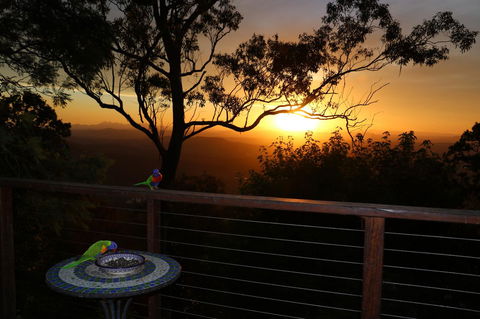 The Polish Place - Tourism Noosa 17