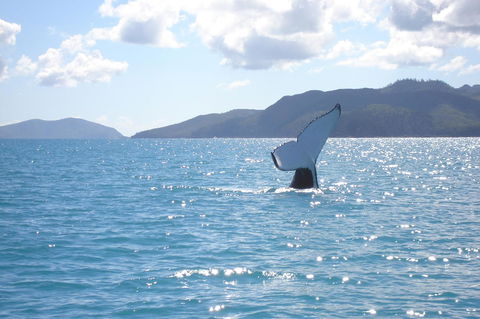 Marina View Apartment - Tourism Noosa 9