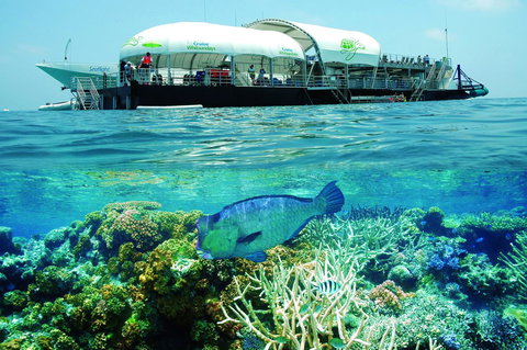 The Sebel Whitsundays - Tourism Noosa 9