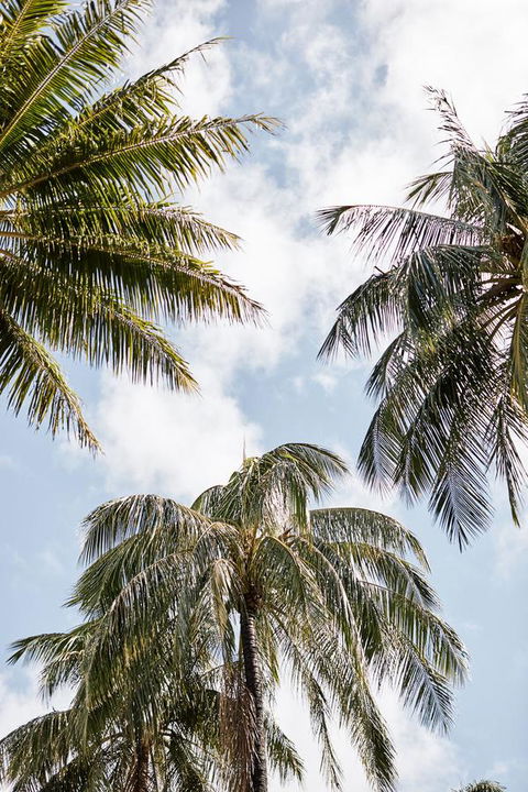 Novotel Cairns Oasis Resort - Tourism Noosa 9