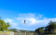 Bay Of Palms - thumb 18