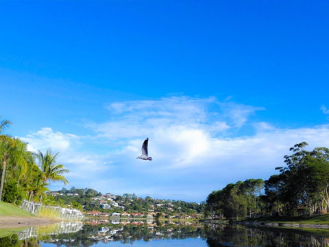 Bay Of Palms - Tourism Noosa 18