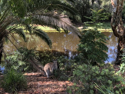Waterfront Resort Villa With Buggy - Tourism Noosa 25