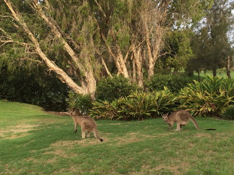 Waterfront Resort Villa With Buggy - Tourism Noosa 19