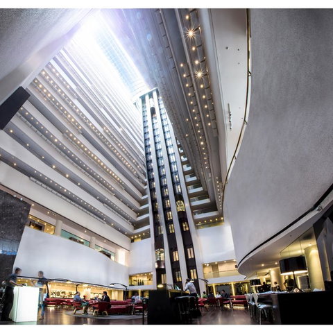 Hilton Brisbane - Tourism Noosa 18