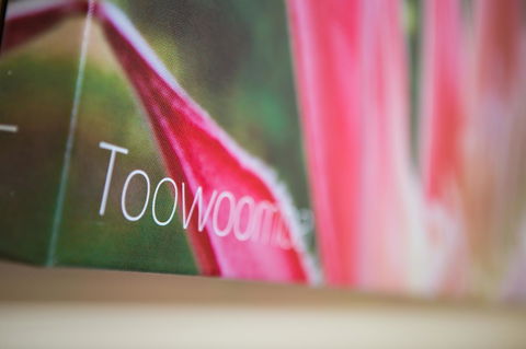 Downs Motel - Tourism Noosa 25
