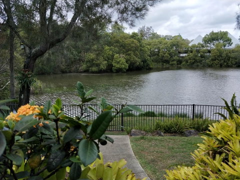 Waterfront Theme Park Getaway - Tourism Noosa 23