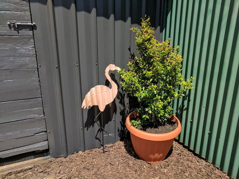 Lilly Pilly House - Tourism Noosa 10