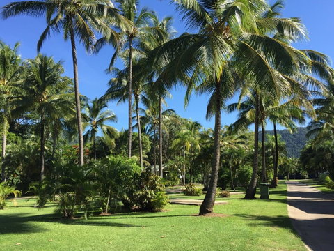 Tasman Holiday Parks - Airlie Beach - Tourism Noosa 1