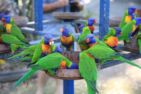 Tasman Holiday Parks - Airlie Beach - Tourism Noosa 23