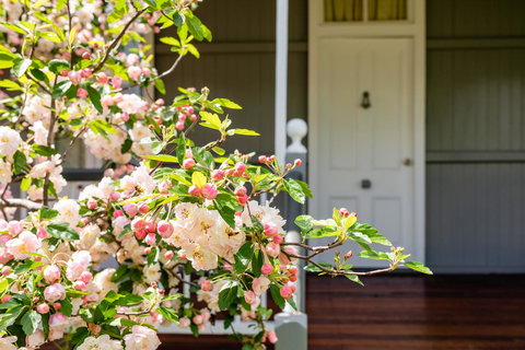Apple Blossom Cottages - Tourism Noosa 2