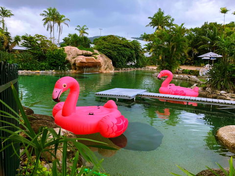 Cairns Colonial Club Resort - Tourism Noosa 6