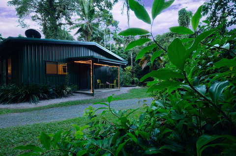 Misty Mountains Rainforest Retreat - Tourism Noosa 7