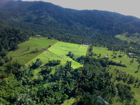 Misty Mountains Rainforest Retreat - Tourism Noosa 33