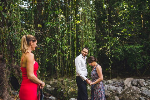 Misty Mountains Rainforest Retreat - Tourism Noosa 15