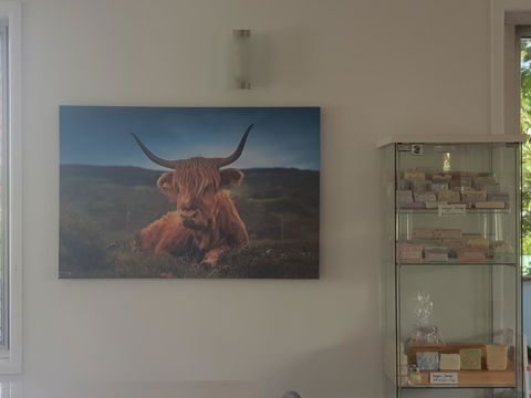 Highland House - Tourism Noosa 4