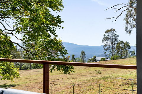 Hollow Tree Farm - Tourism Noosa 15