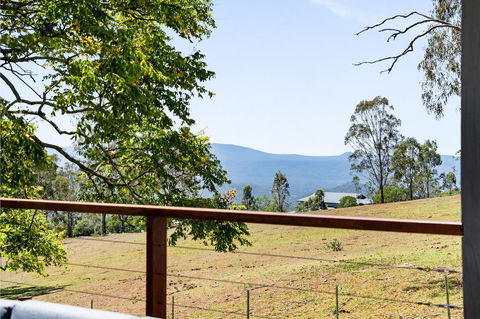 Hollow Tree Farm - Tourism Noosa 1