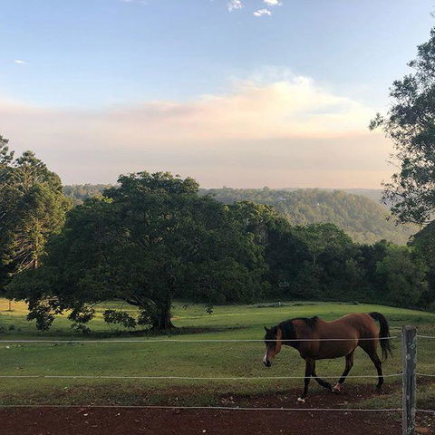 Montville Holiday Apartments - Tourism Noosa 3