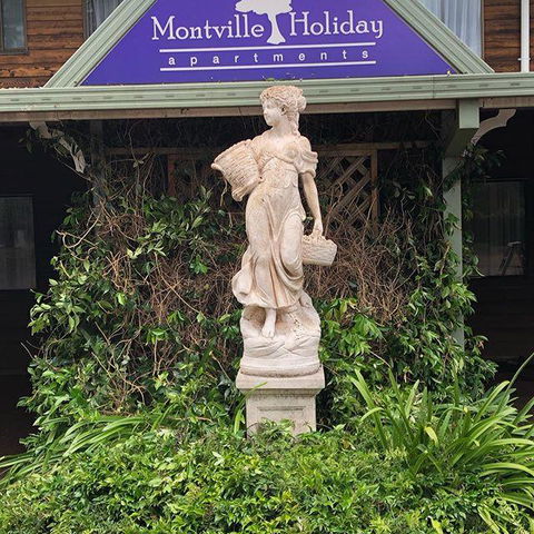 Montville Holiday Apartments - Tourism Noosa 6