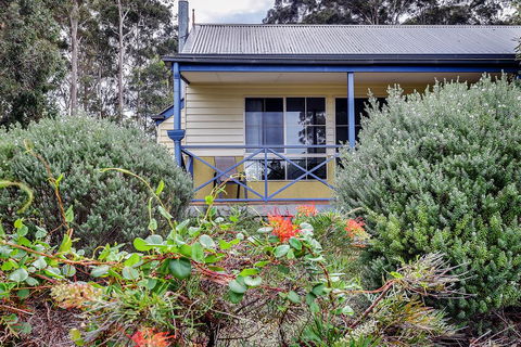 Waverley House Cottages - Tourism Noosa 0