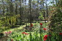 Book Mount Hutton Accommodation Vacations Tourism Noosa Tourism Noosa