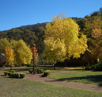 Willowlake Cottages - Tourism Noosa