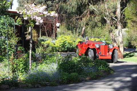Wintarni Olives Cottage - Tourism Noosa 1