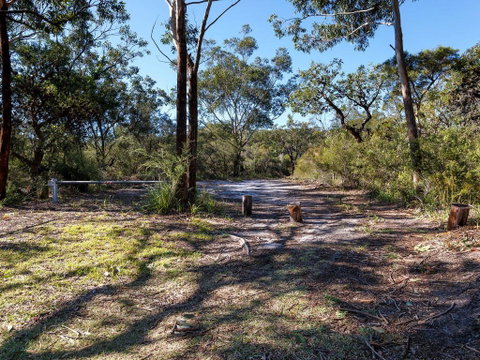 Wongaburra - Tourism Noosa 2