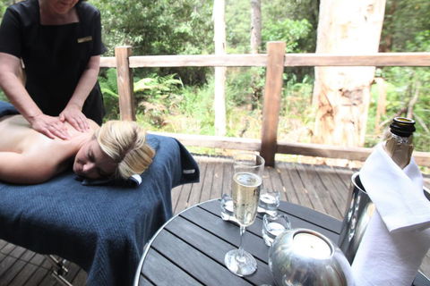 Woodlands Rainforest Retreat - Tourism Noosa 3