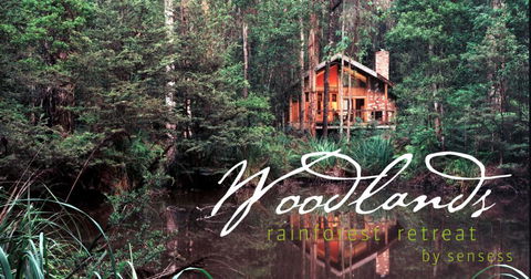 Woodlands Rainforest Retreat - Tourism Noosa 0