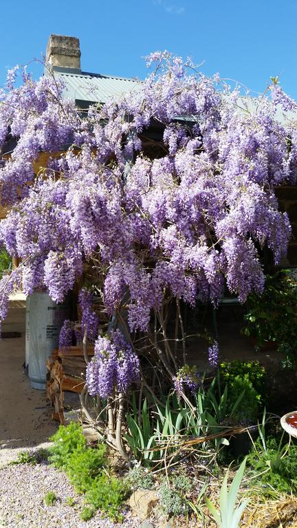 Woodvale At Cooma - Tourism Noosa 3