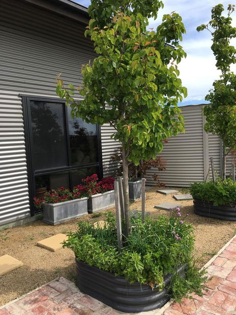 Woolamai Dreaming - Tourism Noosa 2