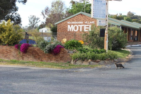 Woomargama Motel - Tourism Noosa 3