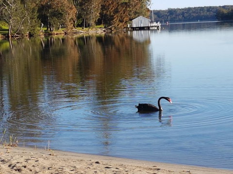 Wyreepi River Cottage - Tourism Noosa 3