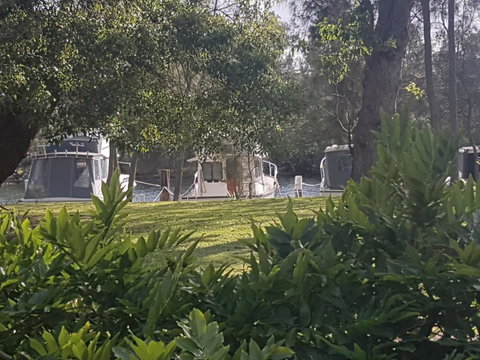 Wyreepi River Cottage - Tourism Noosa 1